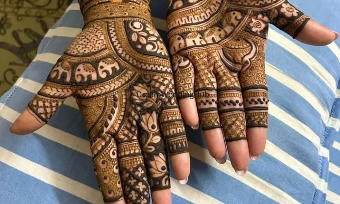 Nice mehndi  tattoo stodio